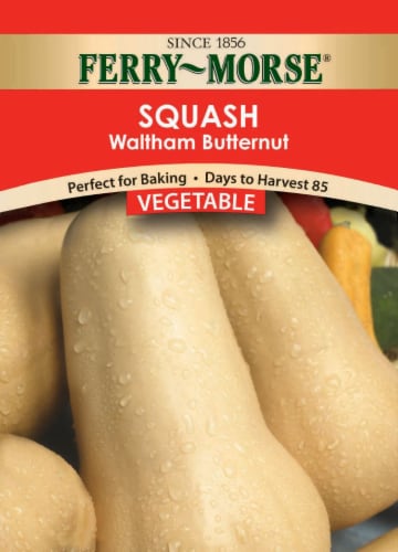 Ferry-Morse Waltham Butternut Squash Seeds Perspective: front