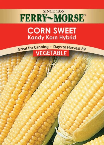 Ferry-Morse Kandy Korn Hybrid Corn Sweet Seeds Perspective: front