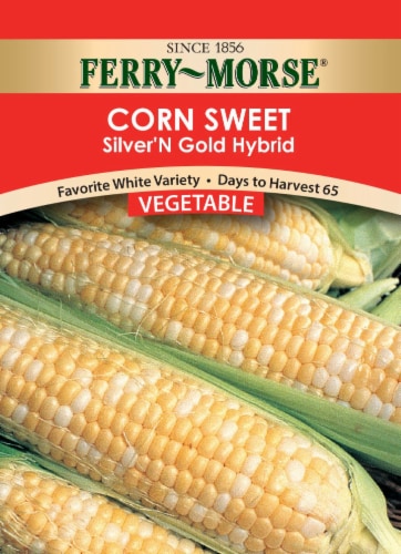 Ferry-Moore Silver 'n Gold Hybrid Sweet Corn Seeds Perspective: front