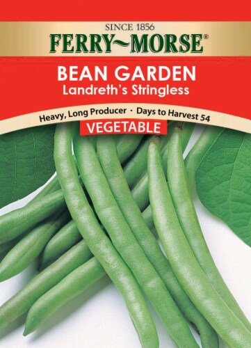 Ferry-Morse Landreth’s Stringless Bean Garden Seeds Perspective: front