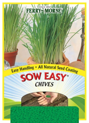 Ferry-Morse Sow Easy Chives Seeds Perspective: front