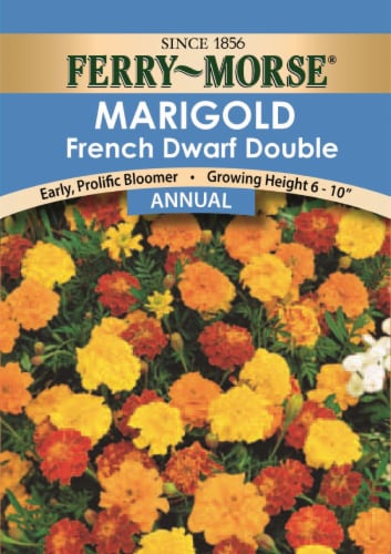 Ferry-Morse® French Dwarf Double Marigold Flower Seeds Perspective: front