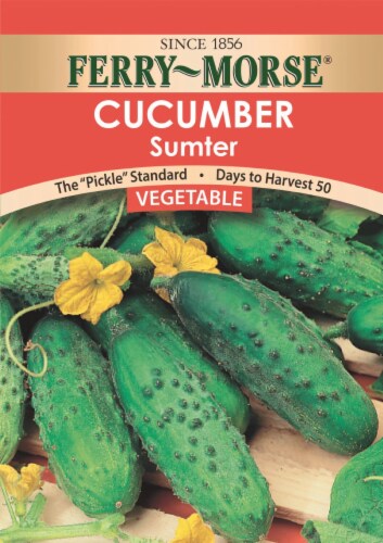 Ferry-Morse® Sumter Cucumber Seeds Perspective: front