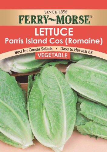 Ferry-Morse® Romaine Lettuce Seeds Perspective: front