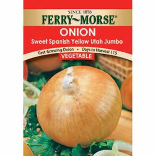 Ferry-Morse® Sweet Spanish Yellow Utah Jumbo Onion Perspective: front