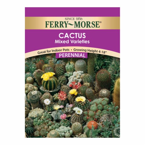 Ferry-Morse® Mixed Varieties Cactus Seed Packet Perspective: front