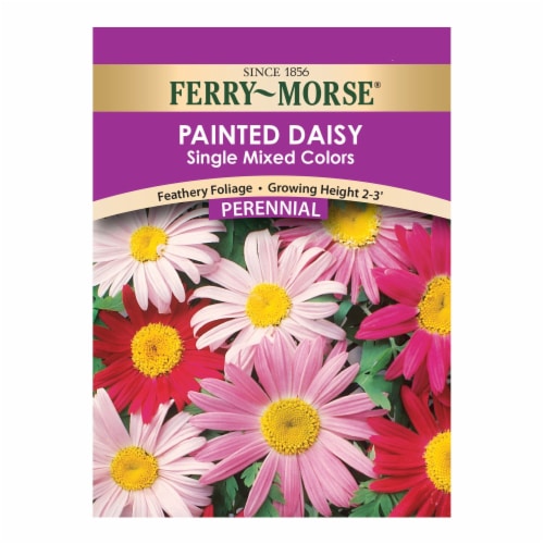Ferry-Morse® Single Mixed Colors Painted Daisy Seed Packet Perspective: front