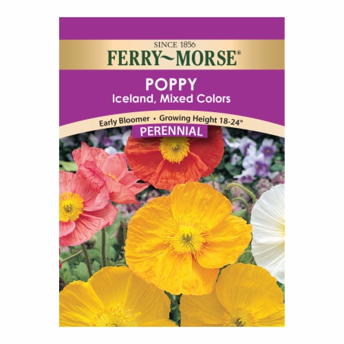Ferry-Morse® Iceland Mixed Colors Poppy Seed Packet Perspective: front