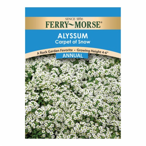 Ferry-Morse® Carpet of Snow Alyssum Seed Packet Perspective: front