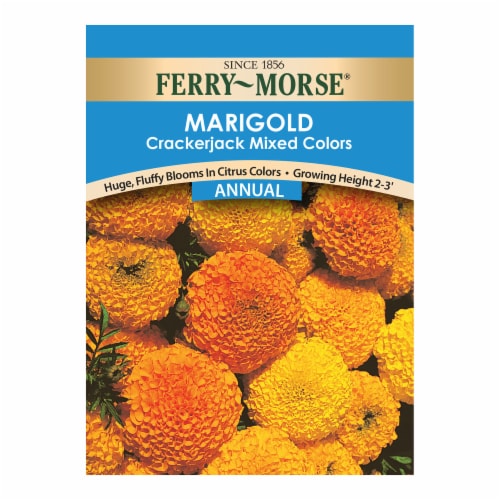 Ferry-Morse® Crackerjack Mixed Colors Marigold Seed Packet Perspective: front