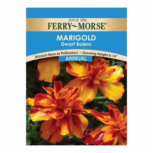Ferry-Morse® Dwarf Bolero Marigold Seed Packet Perspective: front