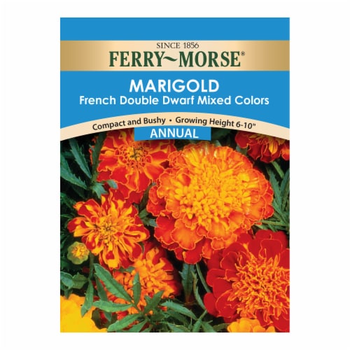 Ferry-Morse® French Double Dwarf Mixed Colors Marigold Seed Packet Perspective: front