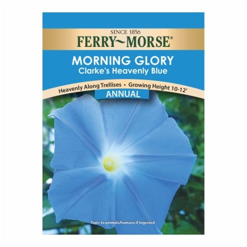 Ferry-Morse® Clarke's Heavenly Blue Morning Glory Seed Packet, 1 ct ...