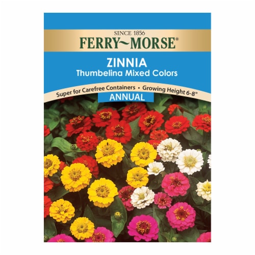 Ferry-Morse Zinnia Thumbelina Perspective: front