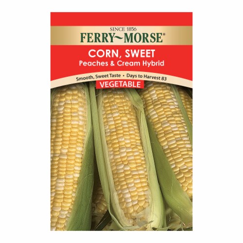 Ferry-Morse Peaches & Cream Hybrid Sweet Corn Perspective: front