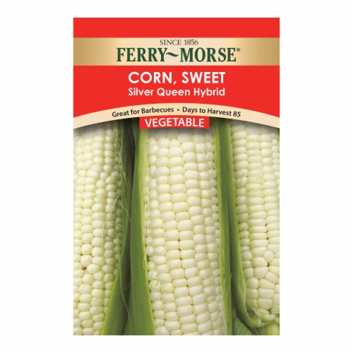 Ferry-Morse Silver Queen Hybrid Sweet Corn Perspective: front