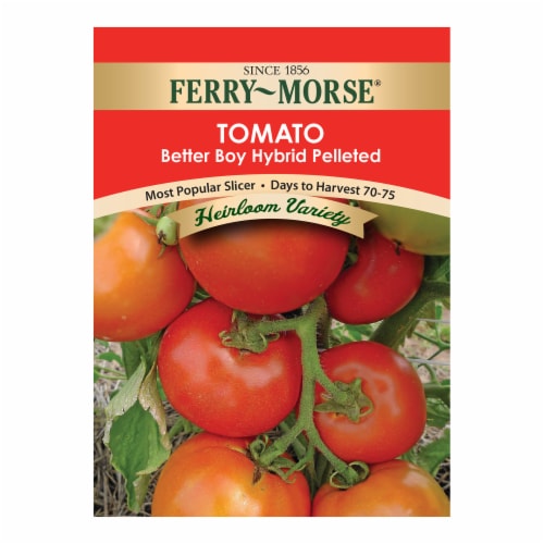 Ferry-Morse Better Boy Hybrid Tomato Perspective: front
