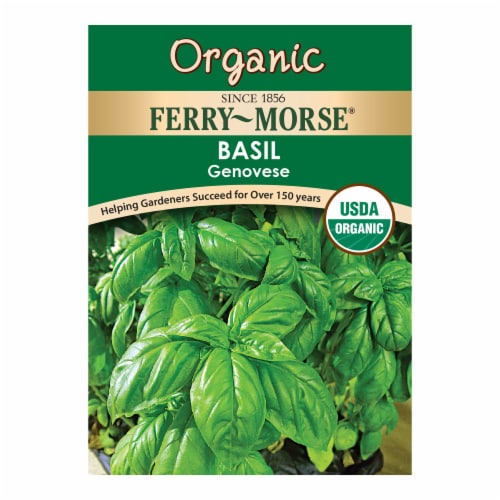 Ferry-Morse Genovese Organic Basil Perspective: front