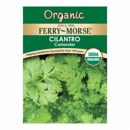 Ferry-Morse® Organic Coriander Cilantro Seeds Perspective: front
