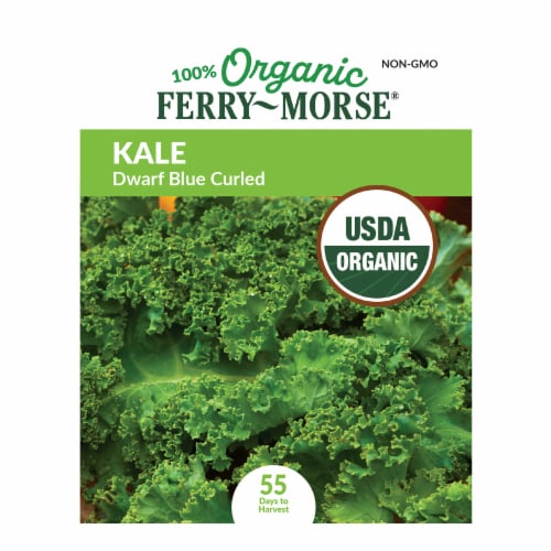 Ferry-Morse® Organic Dwarf Blue Curled Kale Seeds Perspective: front