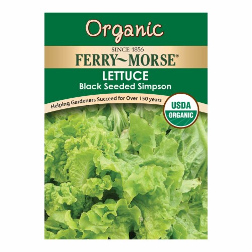 Ferry-Morse® Organic Black Seeded Simpson Lettuce Perspective: front
