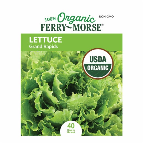 Ferry-Morse® Organic Grand Rapids Lettuce Seeds Perspective: front