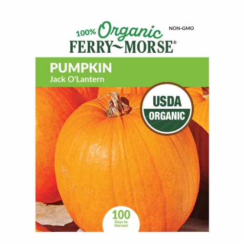 Ferry-Morse® Organic Jack O'Lantern Pumpkin Seeds Perspective: front