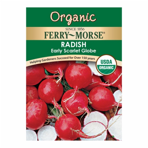 Ferry-Morse Early Scarlet Globe Radish Perspective: front