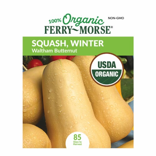 Ferry-Morse® Organic Waltham Butternut Winter Squash Vegetable Seed Packet Perspective: front