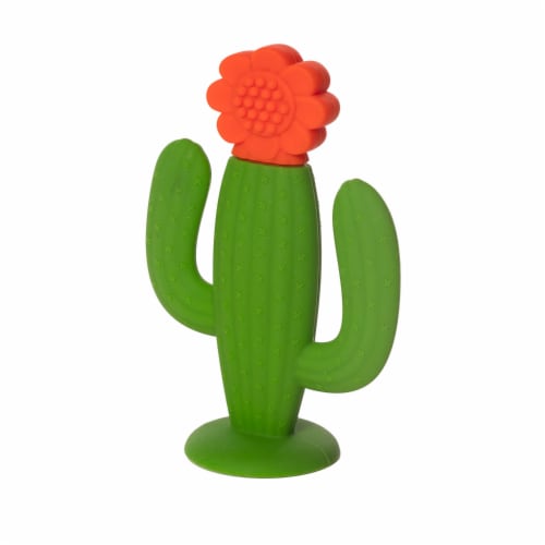 manhattan toy cactus garden