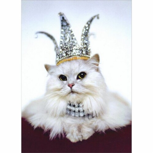 Avanti Princess Kitten Birthday Card Perspective: front
