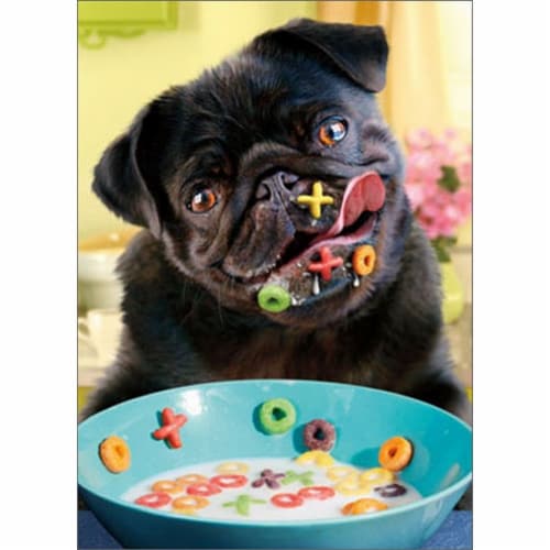 Avanti Dog Alphabet Cereal Stand Out Pop-Up Valentine's Day Card Perspective: front