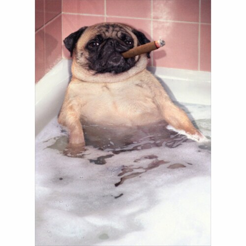 Avanti Pug Takes Bubble Bath Funny Dog Father's Day Card Perspective: front