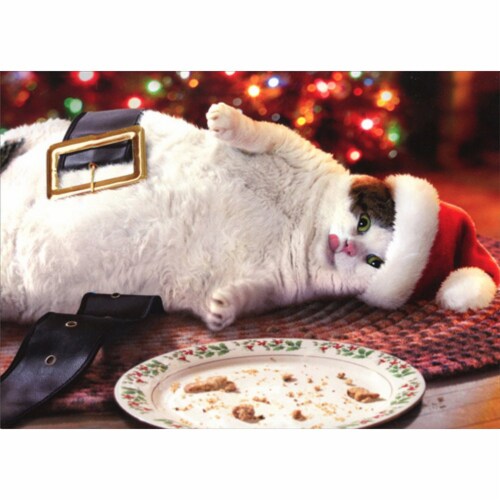 Avanti Santa Cat With Cookies Funny Christmas Card Perspective: front