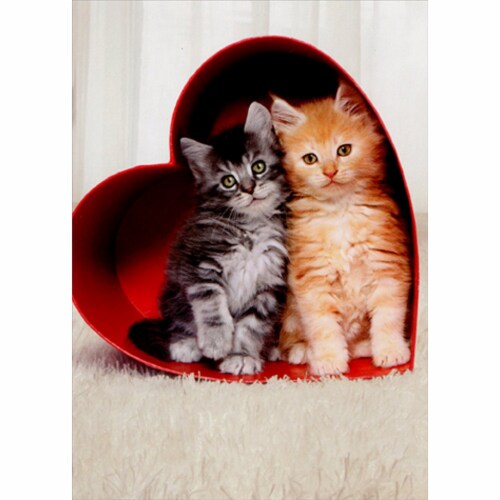 Avanti Two Kittens In Heart Box Cat Valentine's Day Card Perspective: front