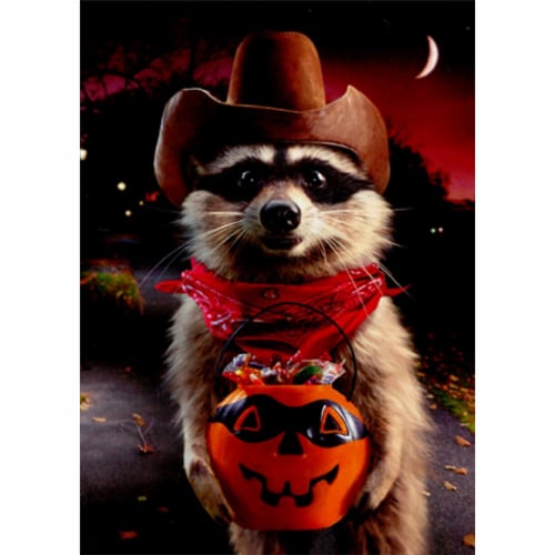 Avanti Raccoon Cowboy Trick Or Treating Funny Halloween Card Perspective: front