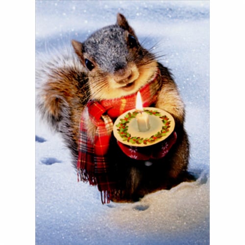 Avanti Snowy Squirrel Holds Candle Christmas Card Perspective: front