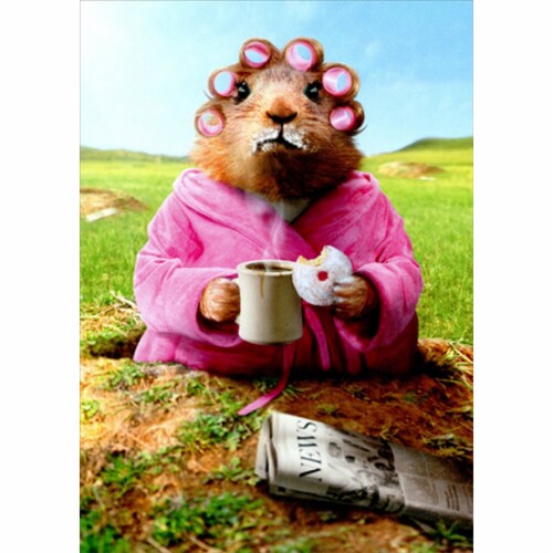 Avanti Morning Groundhog Funny Mother's Day Card Perspective: front