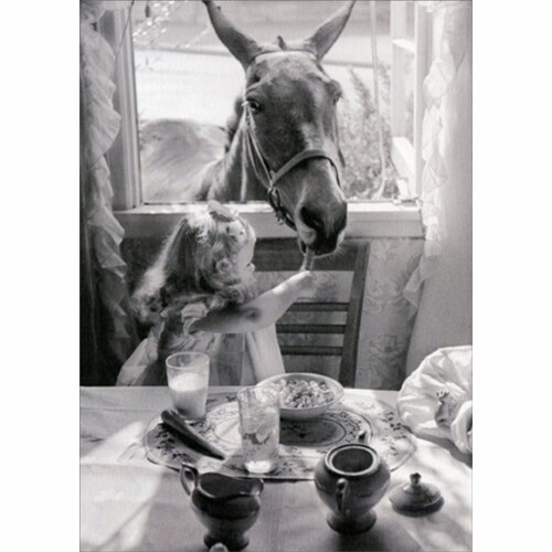 Avanti Press Greeting Card Francis the Mule Perspective: front