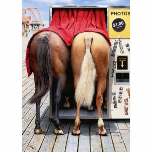 Avanti Horses In Photo Booth Funny Birthday Card Perspective: front