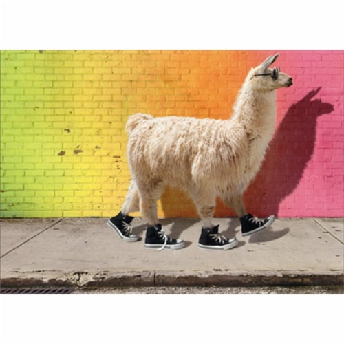 Avanti Cool Llama Funny / Humorous Graduation Card Perspective: front