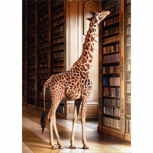 Avanti Giraffe At Library Funny / Humorous Graduation Card Perspective: front