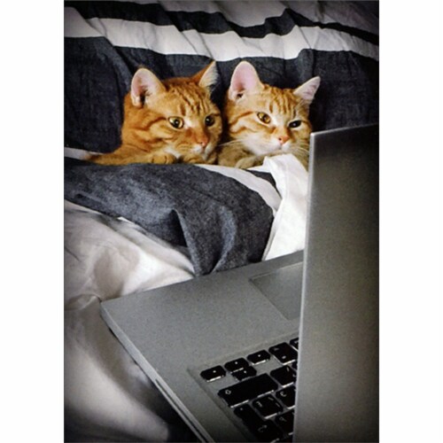 Avanti Two Cats In Bed Watching Laptop Romantic Valentine's Day Card Perspective: front