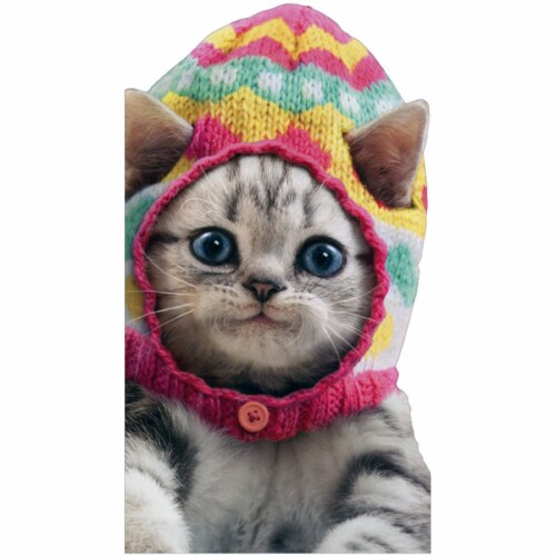 Avanti Press Easter Kitten Knit Easter Egg Perspective: front