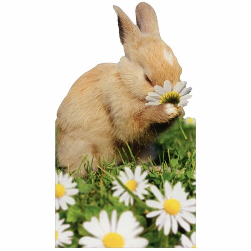 Avanti Press Greeting Cards Easter Bunny Smelling Flower Perspective: front