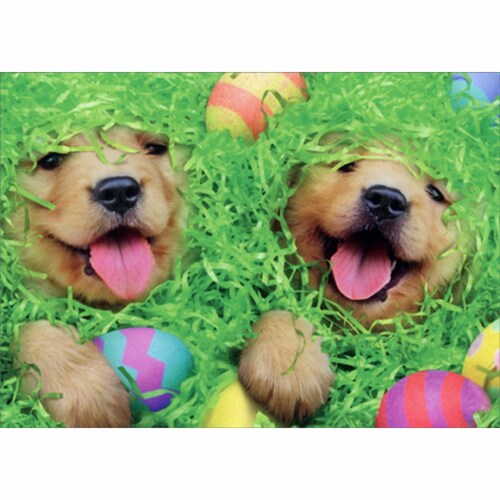 Avanti Press Greeting Cards Easter Puppies in Easter Basket Perspective: front