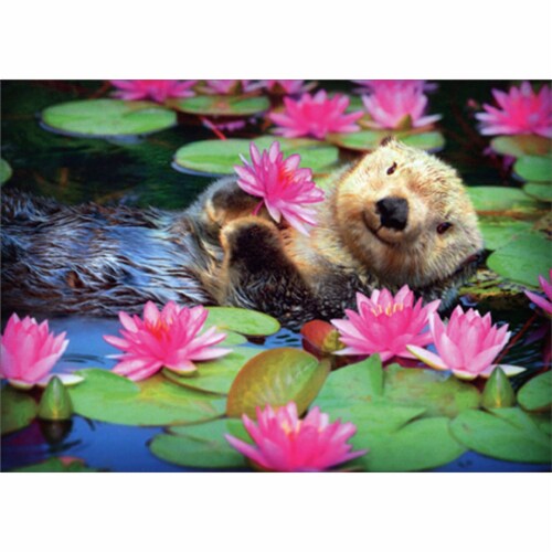Avanti Relaxing Otter in Pond of Water Lilies Cute Mother's Day Card Perspective: front