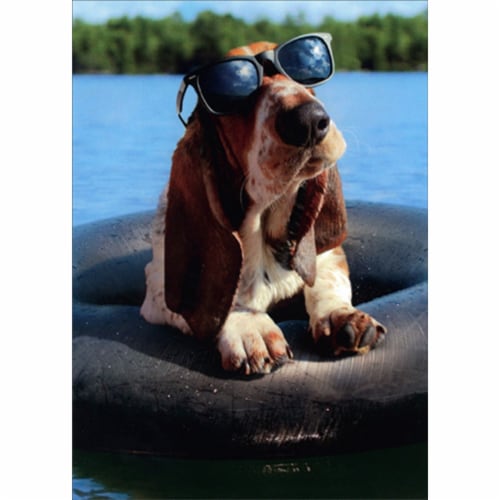 Avanti Press Greeting Cards Father's Day Basset Hound Wearing Sunglasses Perspective: front