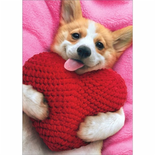 Avanti Corgi Holding Heart Pillow on Pink Blanket Cute Dog Valentine's Day Card Perspective: front