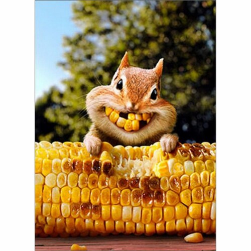 Avanti Press Greeting Card - Chipmunk Corn Teeth Perspective: front